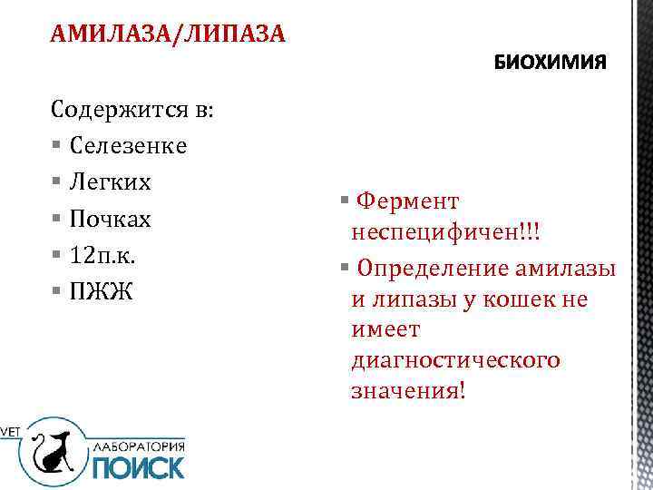 АМИЛАЗА/ЛИПАЗА Содержится в: § Селезенке § Легких § Почках § 12 п. к. §