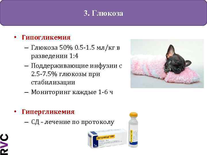 3. Глюкоза • Гипогликемия – Глюкоза 50% 0. 5 -1. 5 мл/кг в разведении