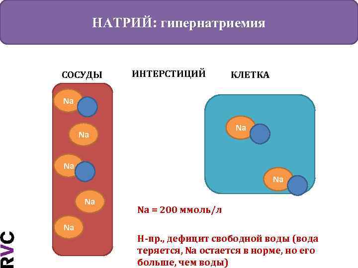 НАТРИЙ: гипернатриемия СОСУДЫ ИНТЕРСТИЦИЙ КЛЕТКА Na Na = 200 ммоль/л Н-пр. , дефицит свободной