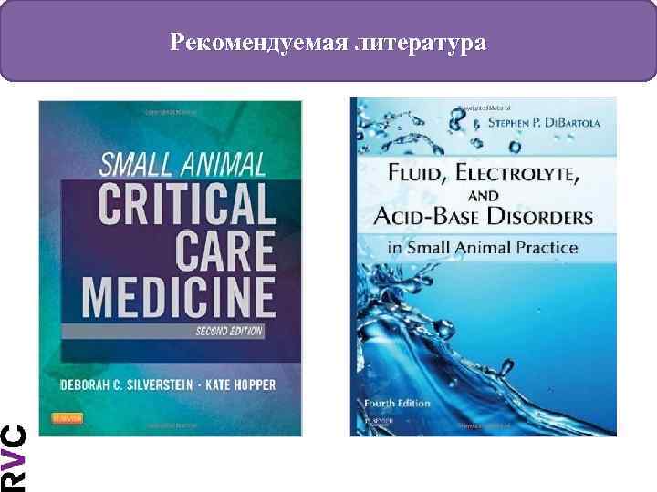 Рекомендуемая литература 