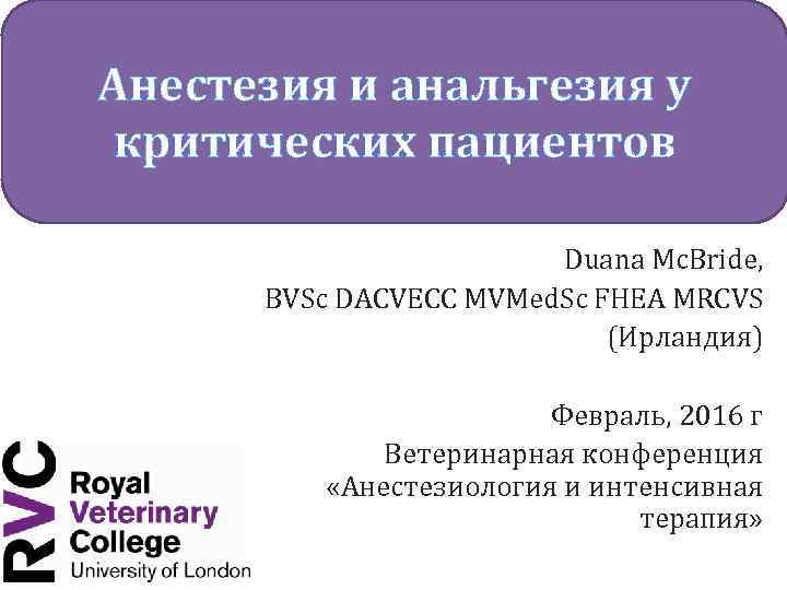 Анестезия и анальгезия у критических пациентов Duana Mc. Bride, BVSc DACVECC MVMed. Sc FHEA