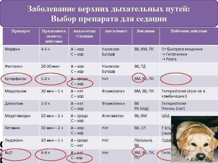 Заболевание верхних дыхательных путей: Выбор препарата для седации Препарат Продолжите льность действия Анальгезия /Седация