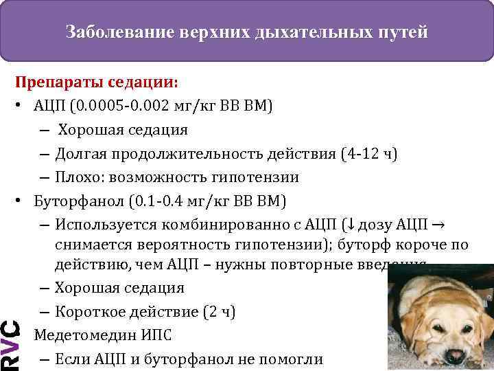 Заболевание верхних дыхательных путей Препараты седации: • АЦП (0. 0005 -0. 002 мг/кг ВВ