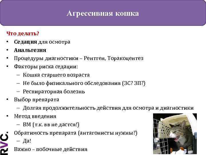 Агрессивная кошка Что делать? • Седация для осмотра • Анальгезия • Процедуры диагностики –