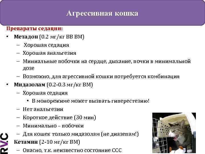 Агрессивная кошка Препараты седации: • Метадон (0. 2 мг/кг ВВ ВМ) – Хорошая седация