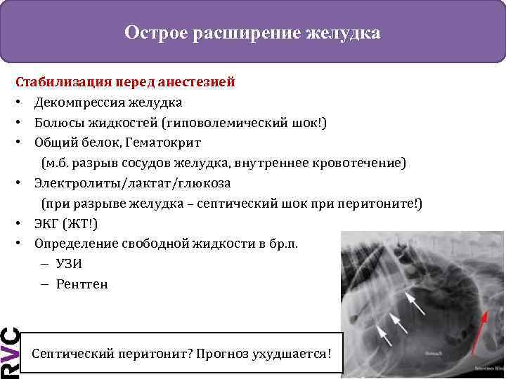 Острое расширение желудка Стабилизация перед анестезией • Декомпрессия желудка • Болюсы жидкостей (гиповолемический шок!)