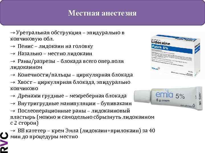 Местная анестезия → Уретральная обструкция – эпидурально в копчиковую обл. → Пенис – лидокаин