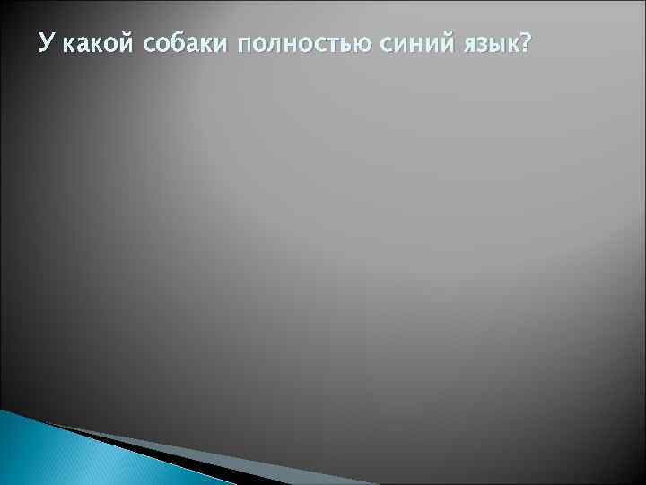 У какой собаки полностью синий язык? 