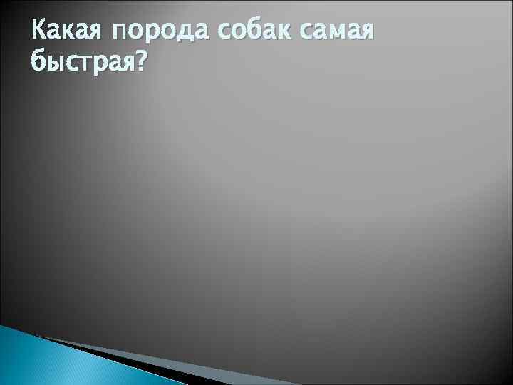 Какая порода собак самая быстрая? 