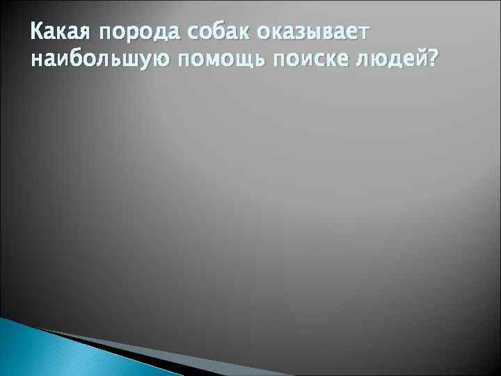 Какая порода собак оказывает наибольшую помощь поиске людей? 