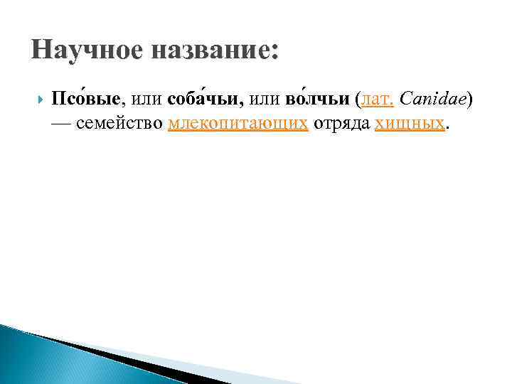 Научное название: Псо вые, или соба чьи, или во лчьи (лат. Canidae) — семейство