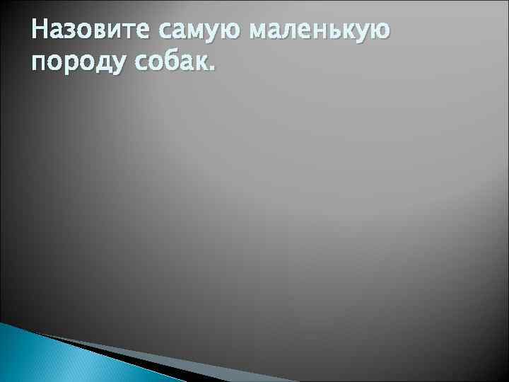 Назовите самую маленькую породу собак. 