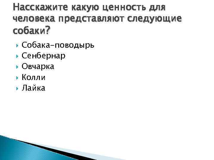 Hасскажите какую ценность для человека представляют следующие собаки? Собака-поводырь Сенбернар Овчарка Колли Лайка 