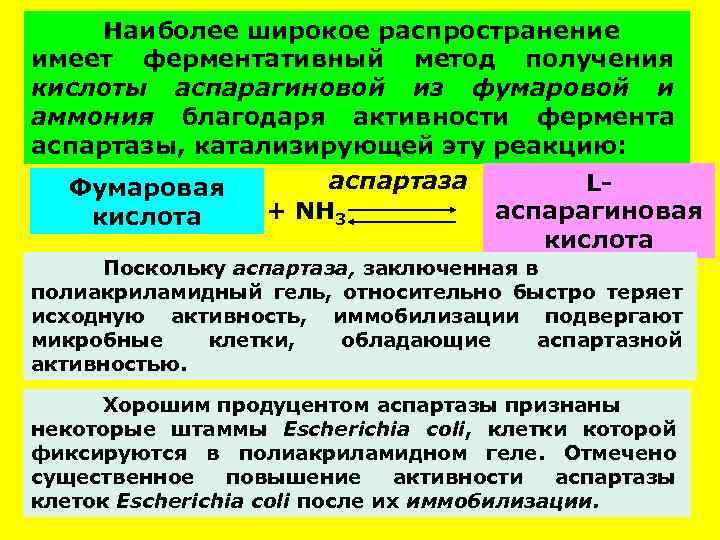 Наиболее широкое распространение имеет ферментативный метод получения кислоты аспарагиновой из фумаровой и аммония благодаря