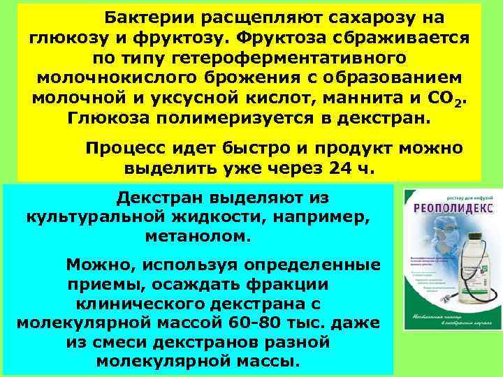 Бактерии расщепляют сахарозу на глюкозу и фруктозу. Фруктоза сбраживается по типу гетероферментативного молочнокислого брожения