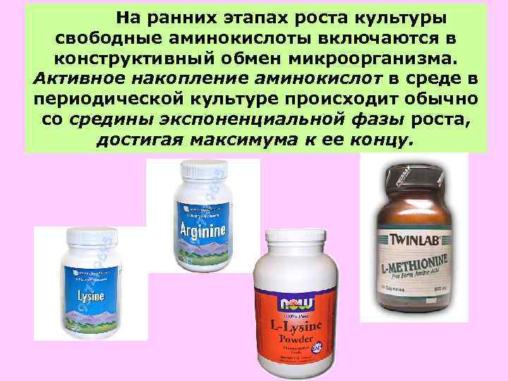 На ранних этапах роста культуры свободные аминокислоты включаются в конструктивный обмен микроорганизма. Активное накопление