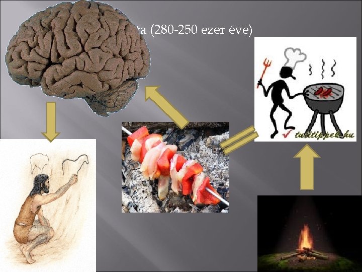 II. A tűz használata (280 -250 ezer éve) 