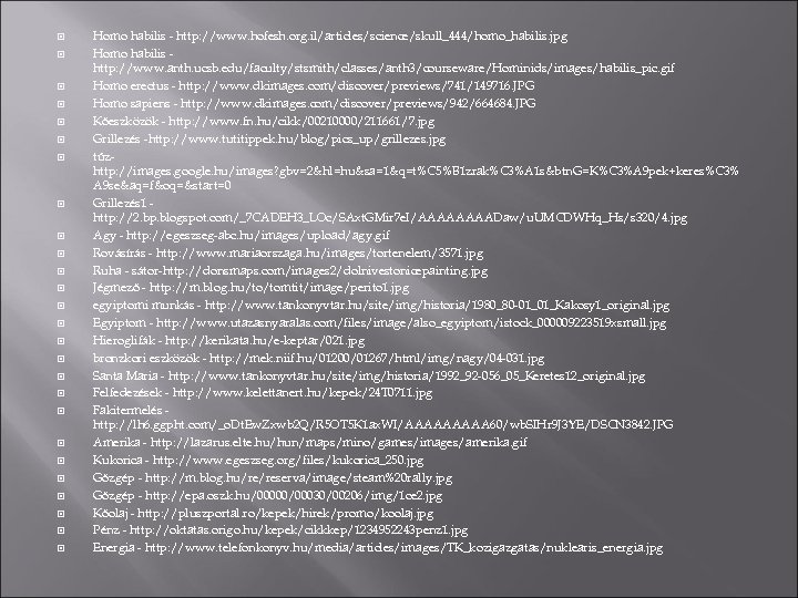  Homo habilis - http: //www. hofesh. org. il/articles/science/skull_444/homo_habilis. jpg Homo habilis http: //www.