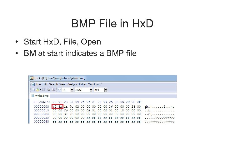 BMP File in Hx. D • Start Hx. D, File, Open • BM at