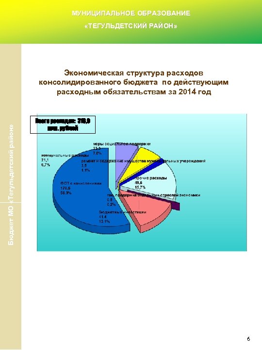 МУНИЦИПАЛЬНОЕ ОБРАЗОВАНИЕ «ТЕГУЛЬДЕТСКИЙ РАЙОН» Бюджет МО «Тегульдетский район» Экономическая структура расходов консолидированного бюджета по