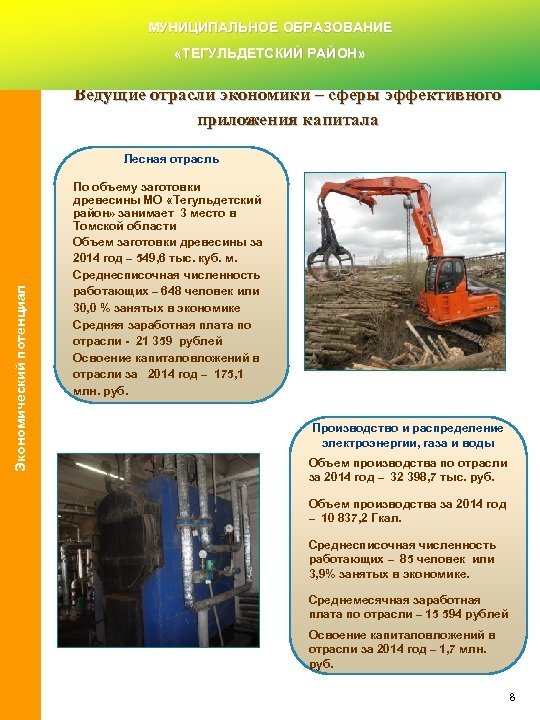 МУНИЦИПАЛЬНОЕ ОБРАЗОВАНИЕ «ТЕГУЛЬДЕТСКИЙ РАЙОН» Ведущие отрасли экономики – сферы эффективного приложения капитала Экономический потенциал