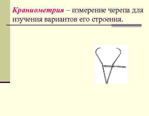 Краниометрия – измерение черепа для изучения вариантов его строения. 