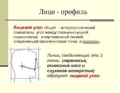 Лицо профиль Лицевой угол общий - антропологический показатель: угол между глазнично-ушной горизонталью и вертикальной