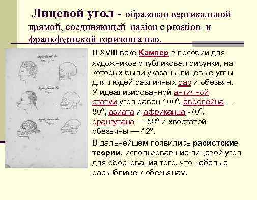 Лицевой угол образован вертикальной прямой, соединяющей nasion с prostion и франкфуртской горизонталью. n В
