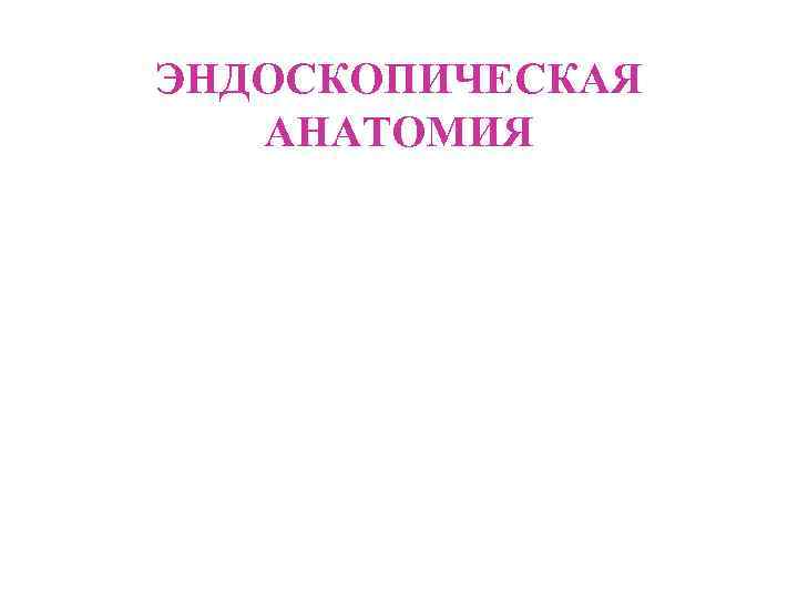 ЭНДОСКОПИЧЕСКАЯ АНАТОМИЯ 