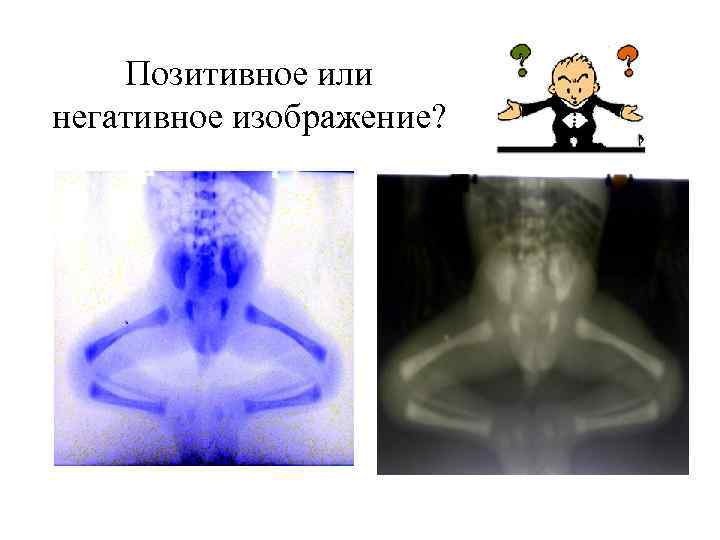 Позитивное или негативное изображение? 