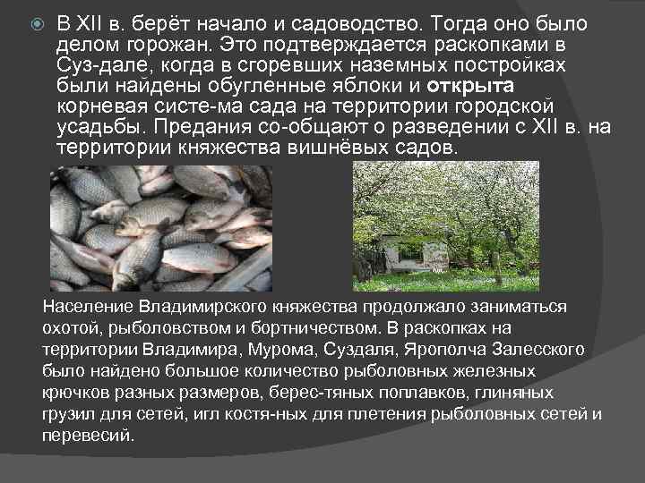  В XII в. берёт начало и садоводство. Тогда оно было делом горожан. Это