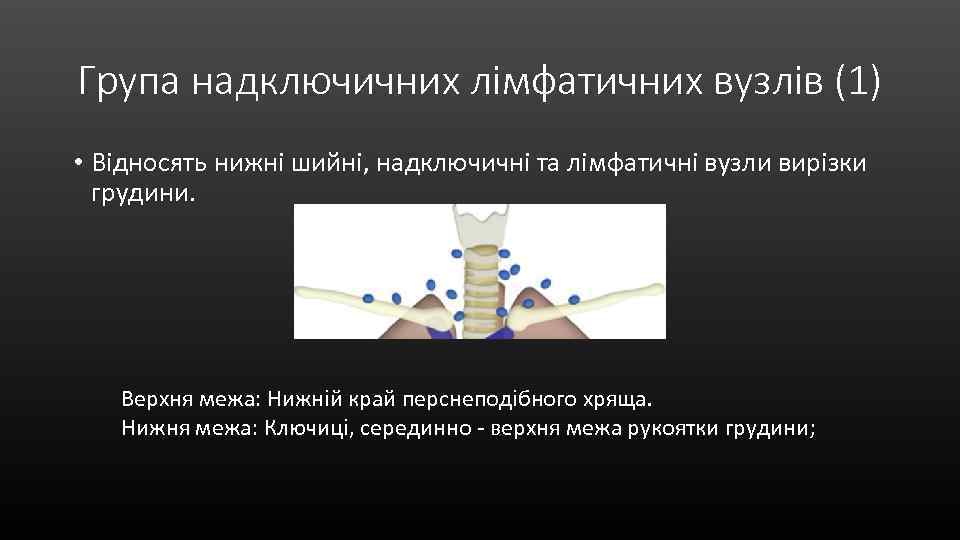 Група надключичних лімфатичних вузлів (1) • Відносять нижні шийні, надключичні та лімфатичні вузли вирізки