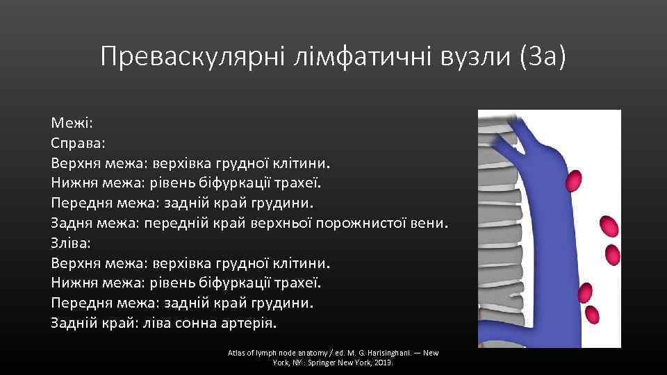 Преваскулярні лімфатичні вузли (3 а) Межі: Справа: Верхня межа: верхівка грудної клітини. Нижня межа: