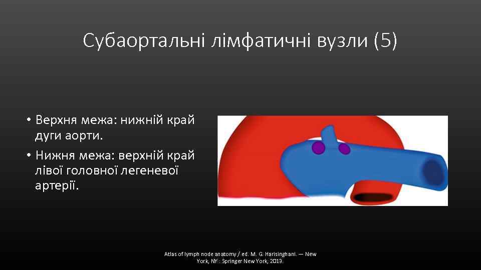 Субаортальні лімфатичні вузли (5) • Верхня межа: нижній край дуги аорти. • Нижня межа: