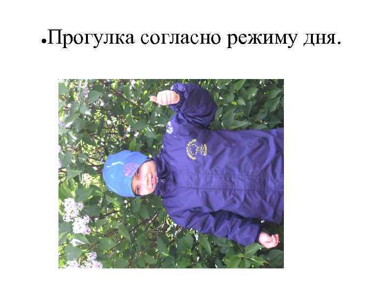 ● Прогулка согласно режиму дня. 