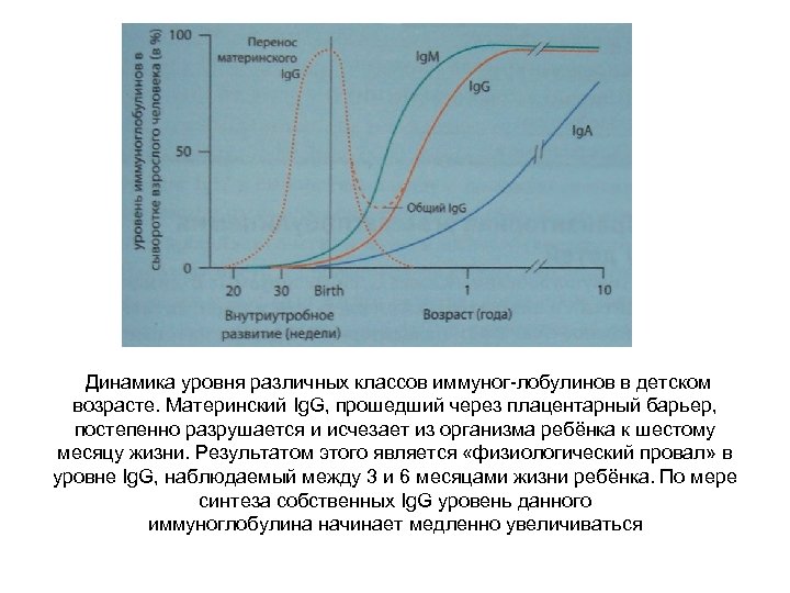 Динамика уровня различных классов иммуног лобулинов в детском возрасте. Материнский Ig. G, прошедший через