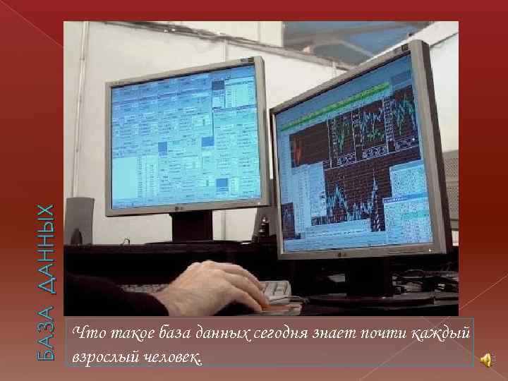 БАЗА ДАННЫХ Что такое база данных сегодня знает почти каждый взрослый человек. 