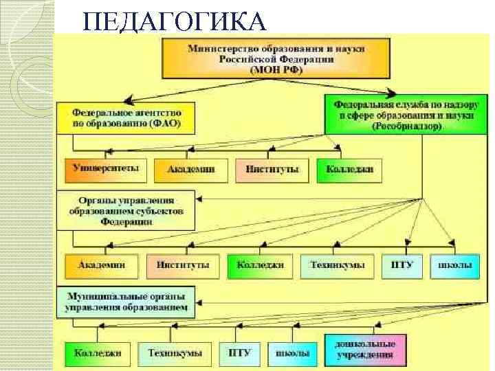 ПЕДАГОГИКА 