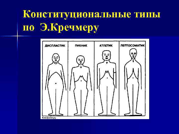 Конституциональные типы по Э. Кречмеру 