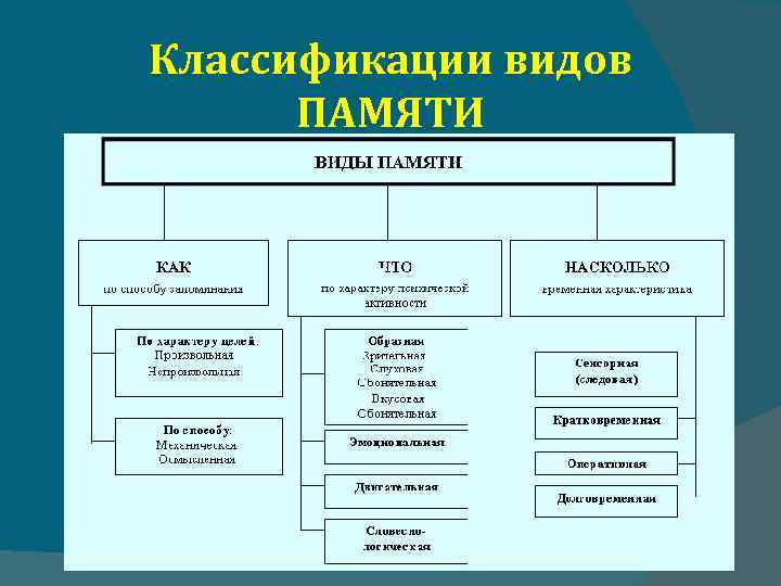 Классификации видов ПАМЯТИ 