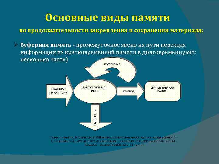 Основные виды памяти по продолжительности закрепления и сохранения материала: буферная память промежуточное звено на