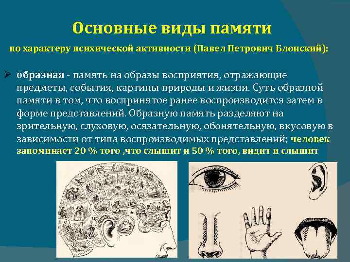 Основные виды памяти по характеру психической активности (Павел Петрович Блонский): образная память на образы