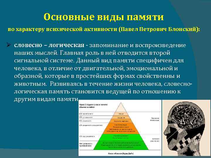Основные виды памяти по характеру психической активности (Павел Петрович Блонский): словесно – логическая -