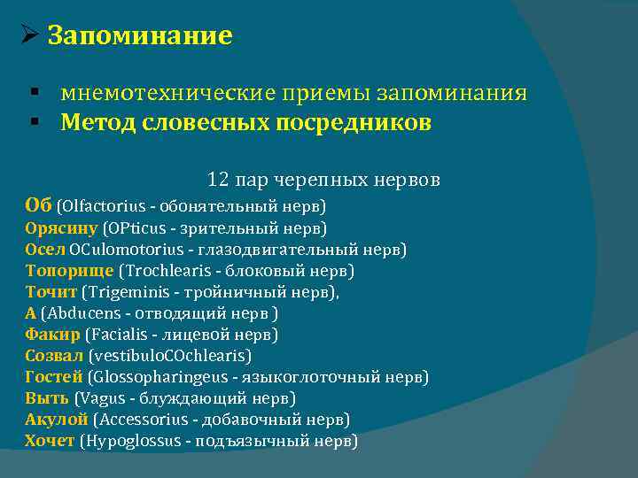  Запоминание § мнемотехнические приемы запоминания § Метод словесных посредников 12 пар черепных нервов