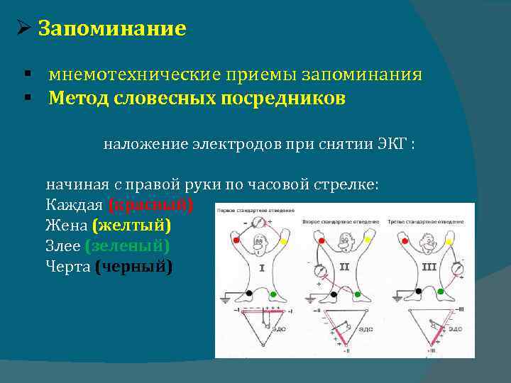  Запоминание § мнемотехнические приемы запоминания § Метод словесных посредников наложение электродов при снятии