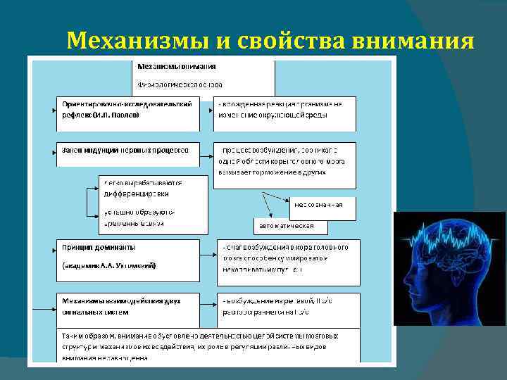 Механизмы и свойства внимания 