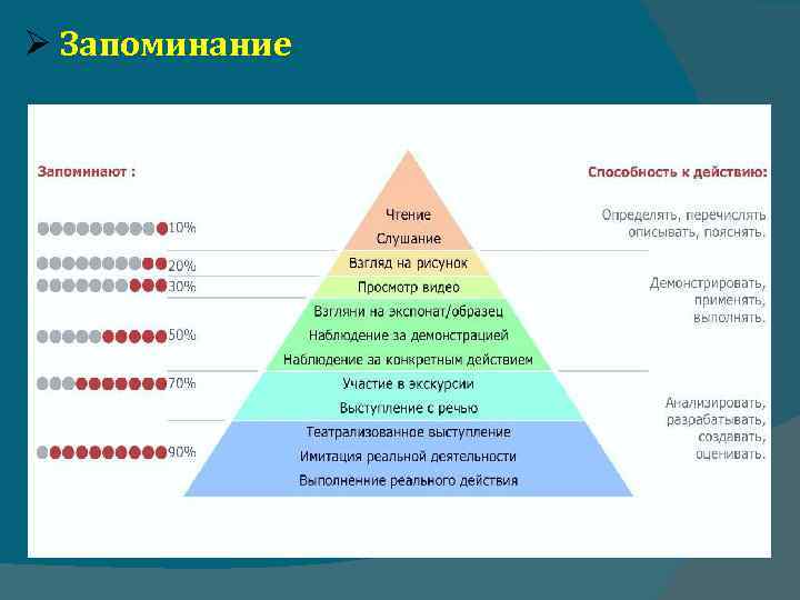  Запоминание 