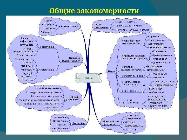Общие закономерности 