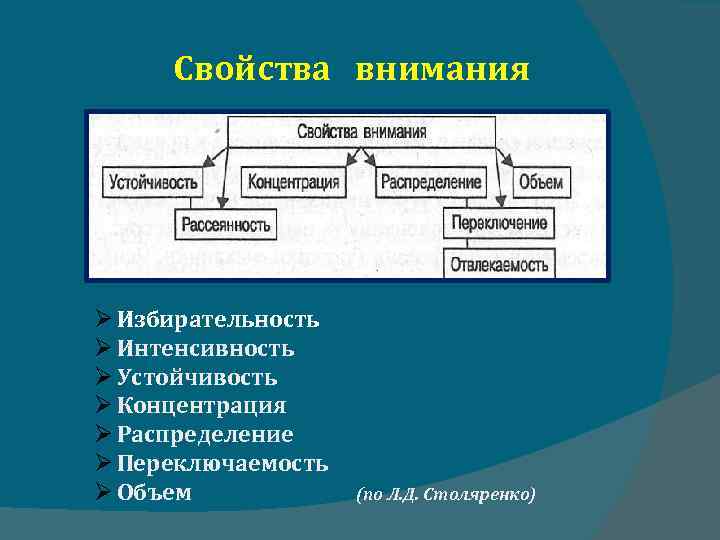 Свойства внимания Избирательность Интенсивность Устойчивость Концентрация Распределение Переключаемость Объем (по Л. Д. Столяренко) 