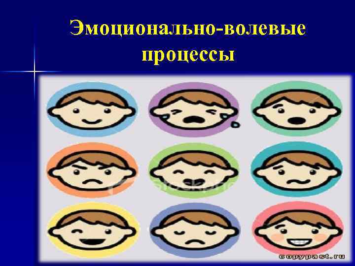 Эмоционально-волевые процессы 